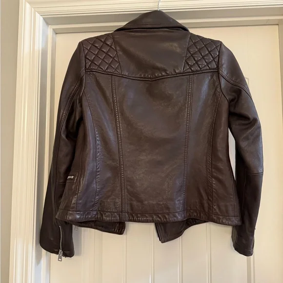 All Saints Dark Brown / Oxblood Leather Jacket - Picture 3 of 16